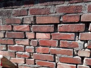 Image from job nr 1