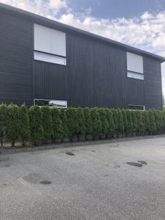 Image from job nr 1
