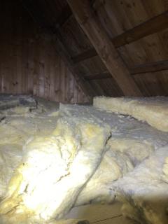 Image from job nr 1