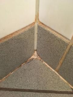 Image from job nr 6