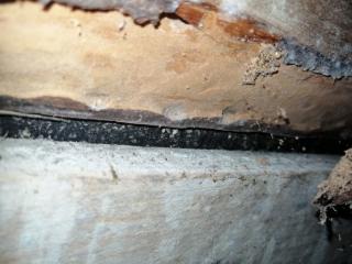 Image from job nr 6