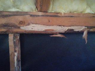 Image from job nr 4