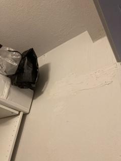 Image from job nr 2