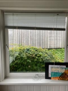 Image from job nr 1