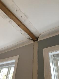 Image from job nr 1