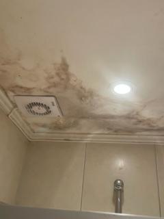 Image from job nr 4