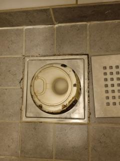 Image from job nr 1