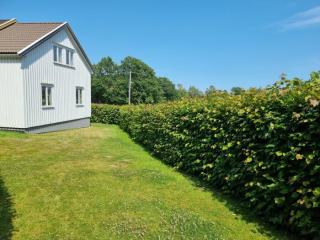 Image from job nr 1