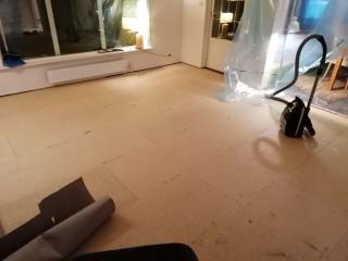 Image from job nr 1