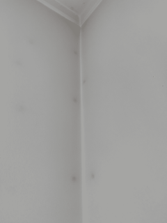 Detalj, flekker pu00e5 vegg 1