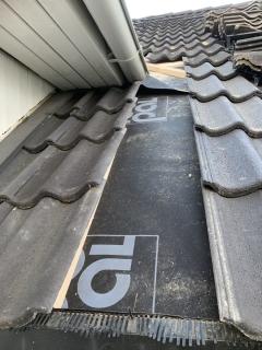 Image from job nr 1