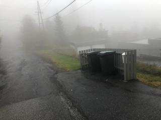 Image from job nr 1