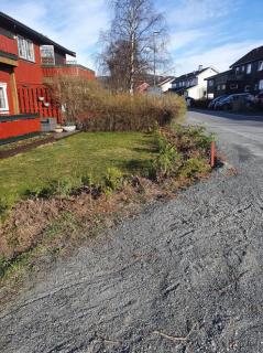 Image from job nr 2