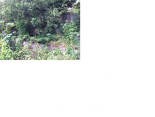 Image from job nr 2