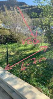 Image from job nr 1