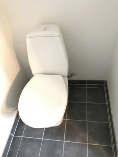 Image from job nr 1