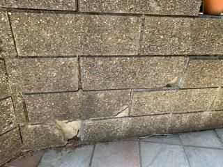 Image from job nr 1