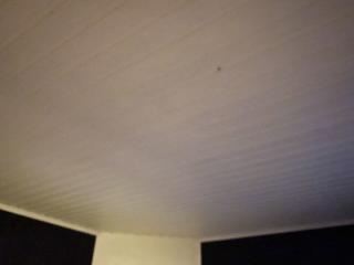 Taklampe u00f8nskes montert