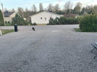 Image from job nr 5