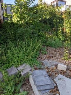 Image from job nr 2
