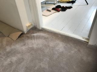 Image from job nr 5