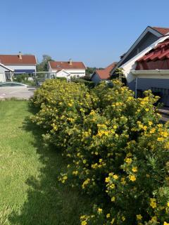 Image from job nr 3