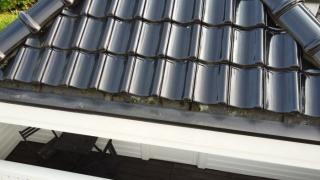 Image from job nr 1