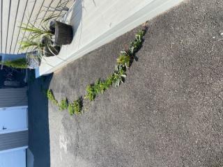 Image from job nr 3