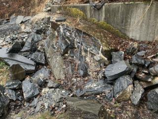 Image from job nr 1