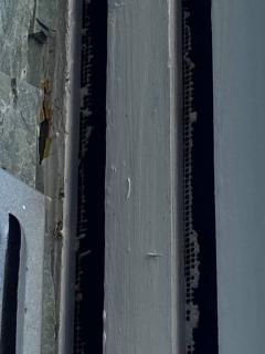 Image from job nr 1