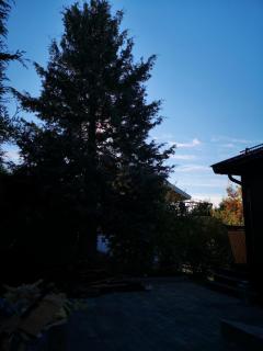 Image from job nr 2