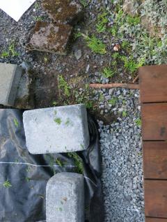 Image from job nr 4