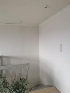 Image from job nr 2