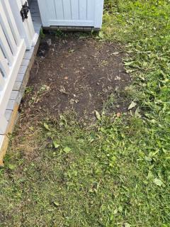 Image from job nr 3