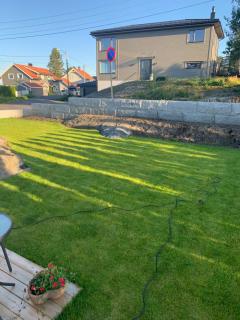 Image from job nr 1