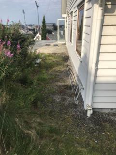 Image from job nr 1