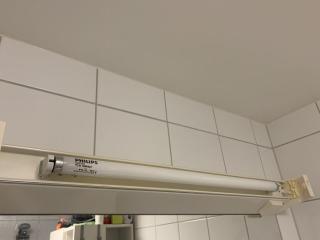 Image from job nr 1