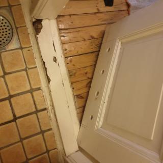 Image from job nr 2