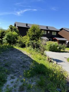 Image from job nr 5