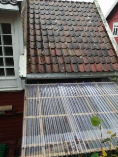 Image from job nr 1