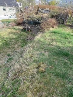 Image from job nr 5