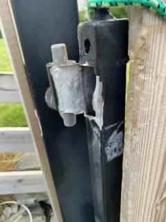 Image from job nr 1