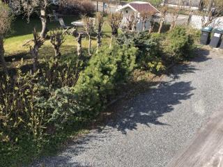 Image from job nr 1