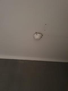 Image from job nr 3