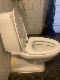 Image from job nr 1