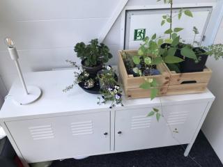 Image from job nr 11