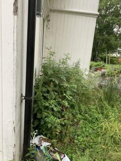 Image from job nr 3