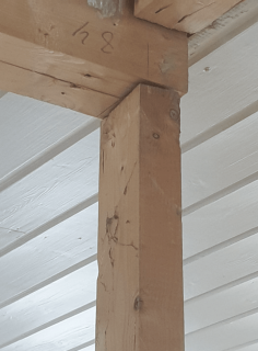 Image from job nr 1