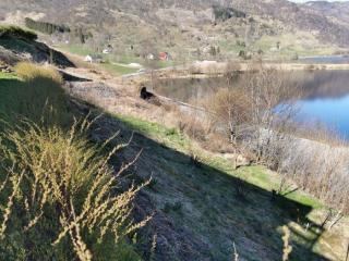 Image from job nr 1