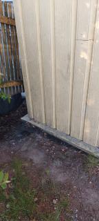 Image from job nr 1